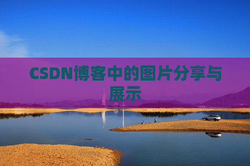 CSDN博客中的图片分享与展示